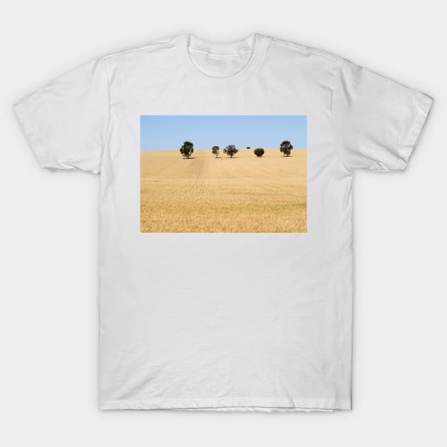 Wheat Field by Avril Thomas photography - South Australian Artist T-Shirt by AvrilThomasart